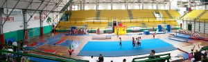 11270499_10205699168451608_8415443662314982240_o