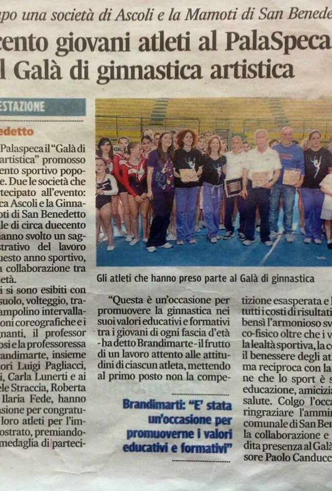 Galà Ginnastica Artistica 2013